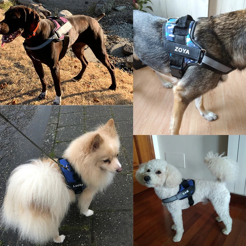 Personalized Dog Harness